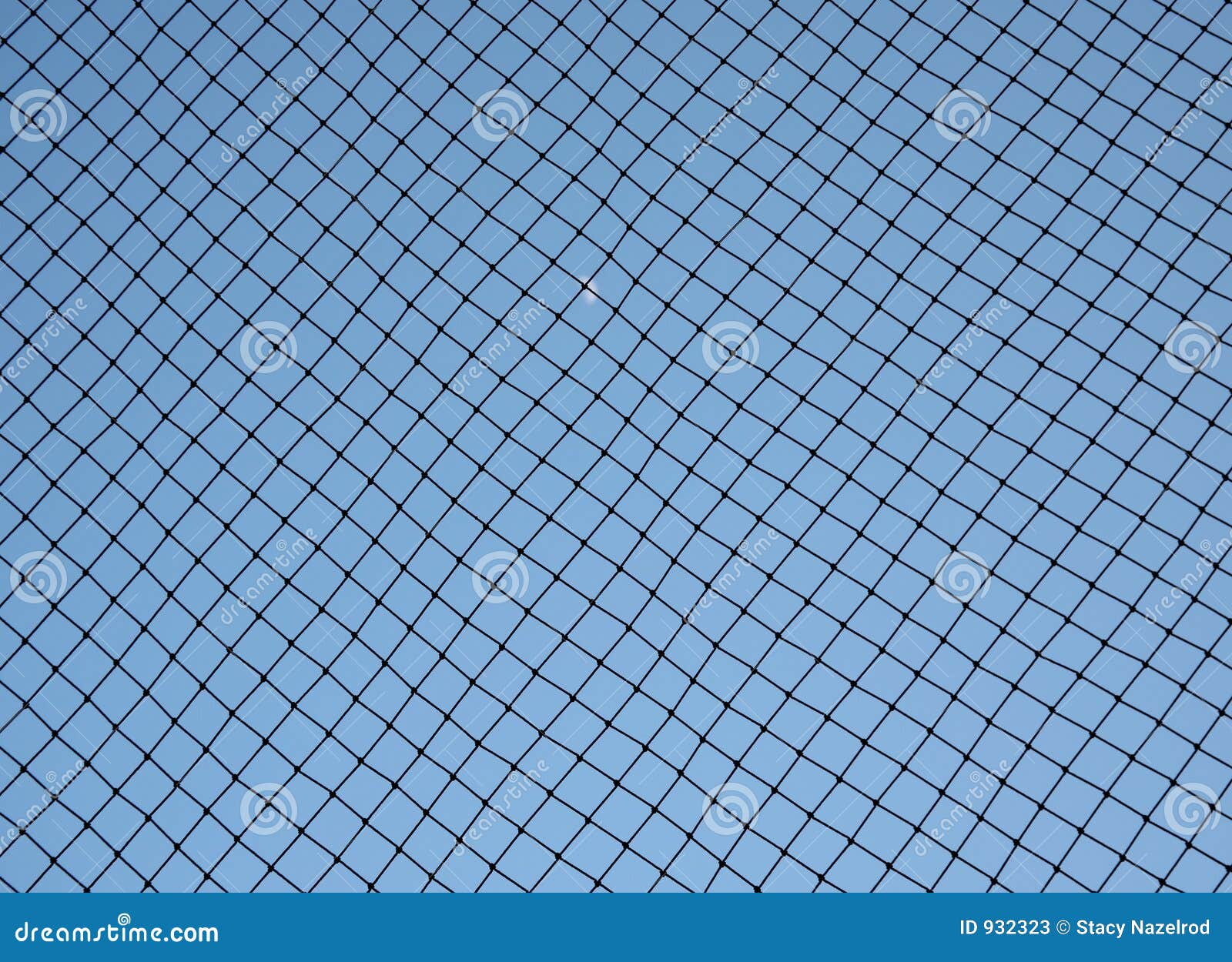 baseball netting