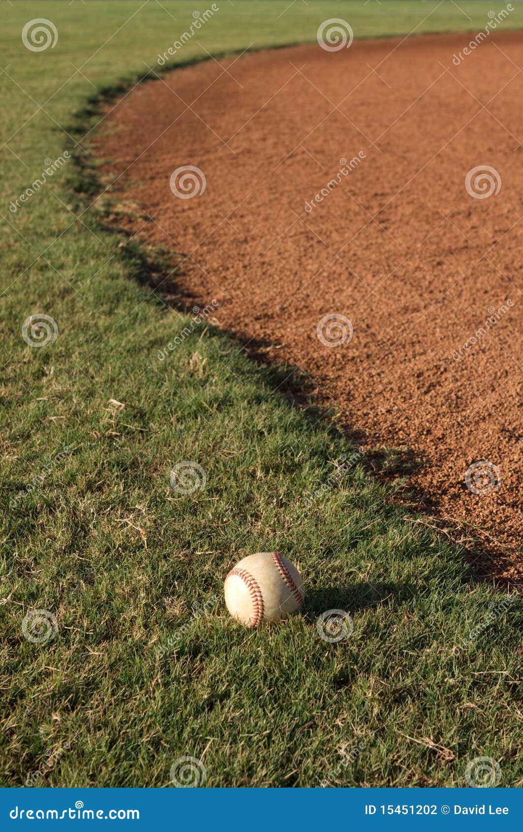 Baseball in the outfield stock photo. Image of outfield 15451202