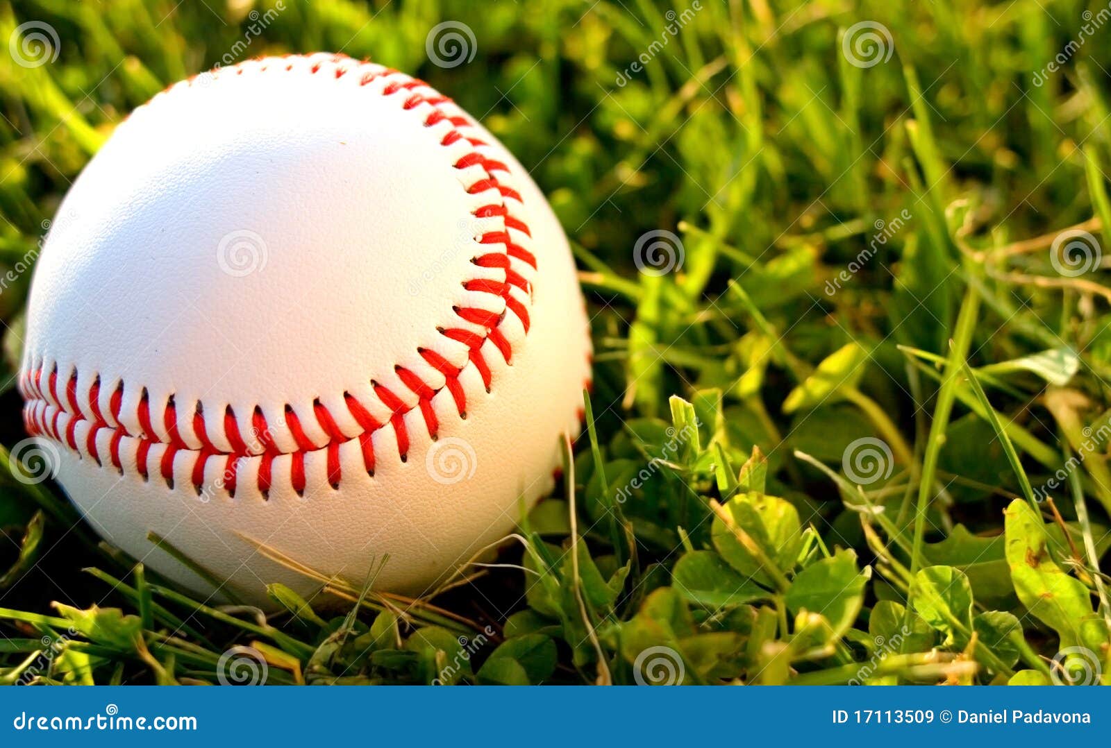 Baseball In Outfield Royalty Free Stock Images Image 17113509