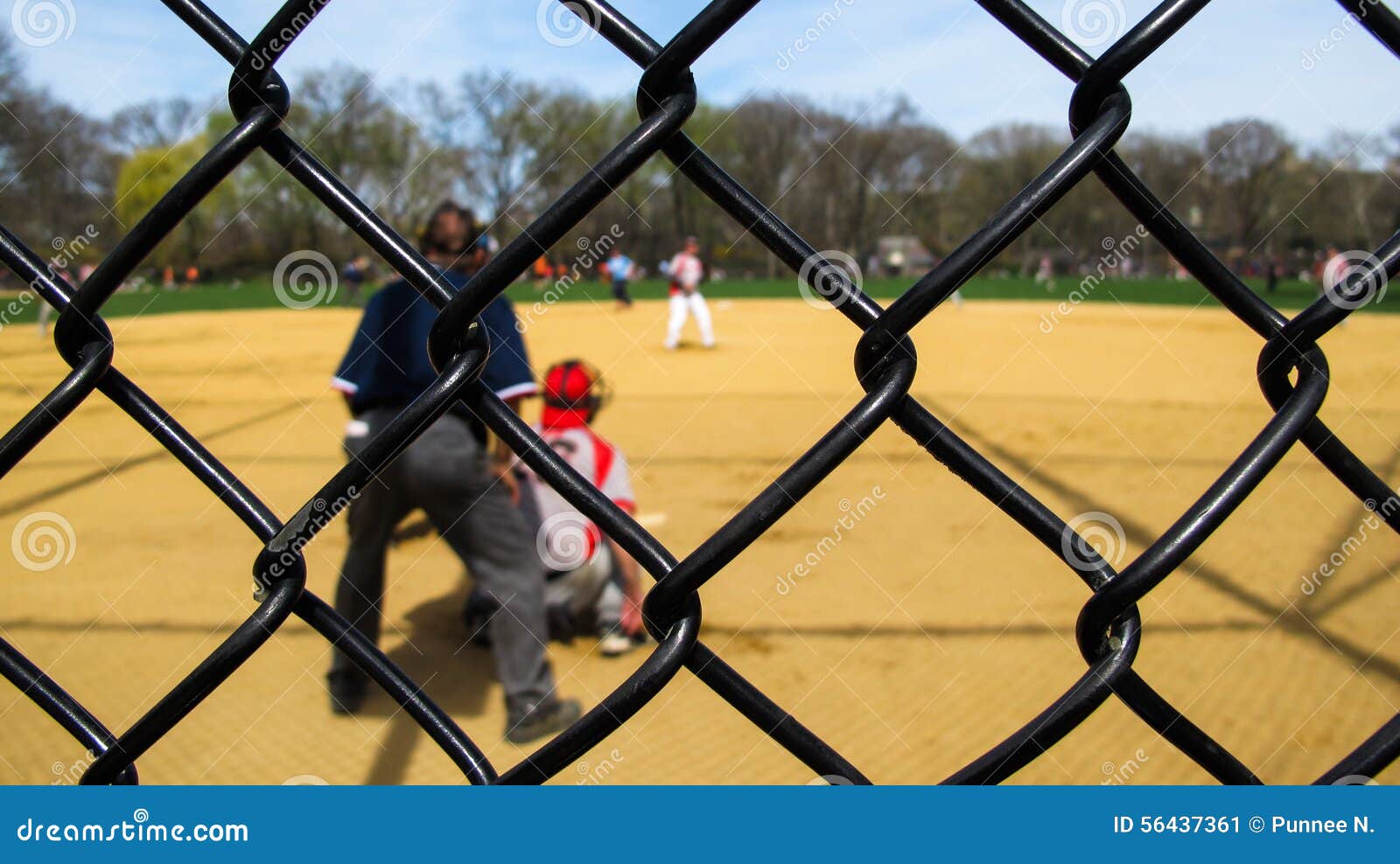 Baseball in the park stock image. Image of player, spring 56437361