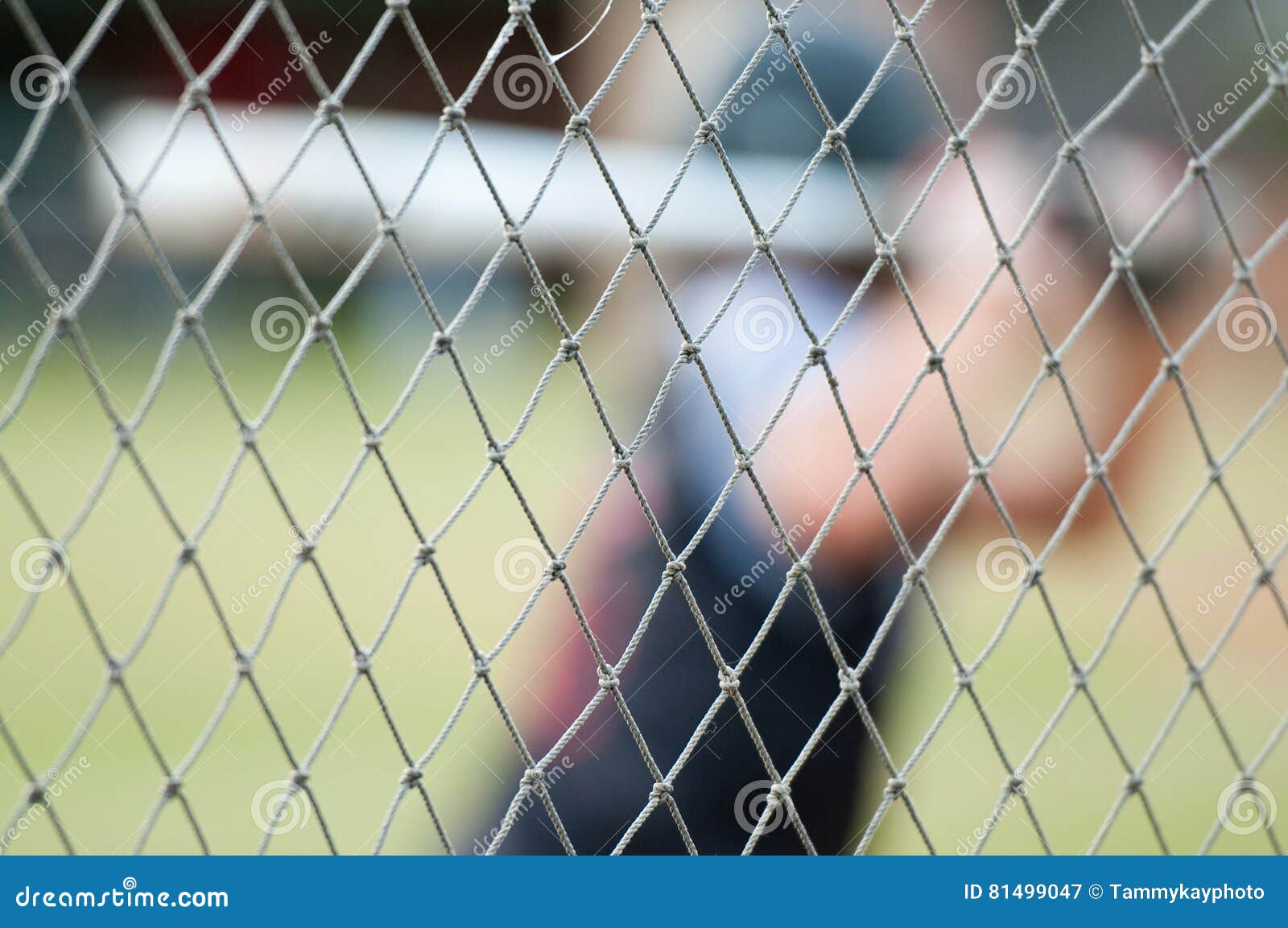 Close up of baseball fence stock image. Image of softball 81499047