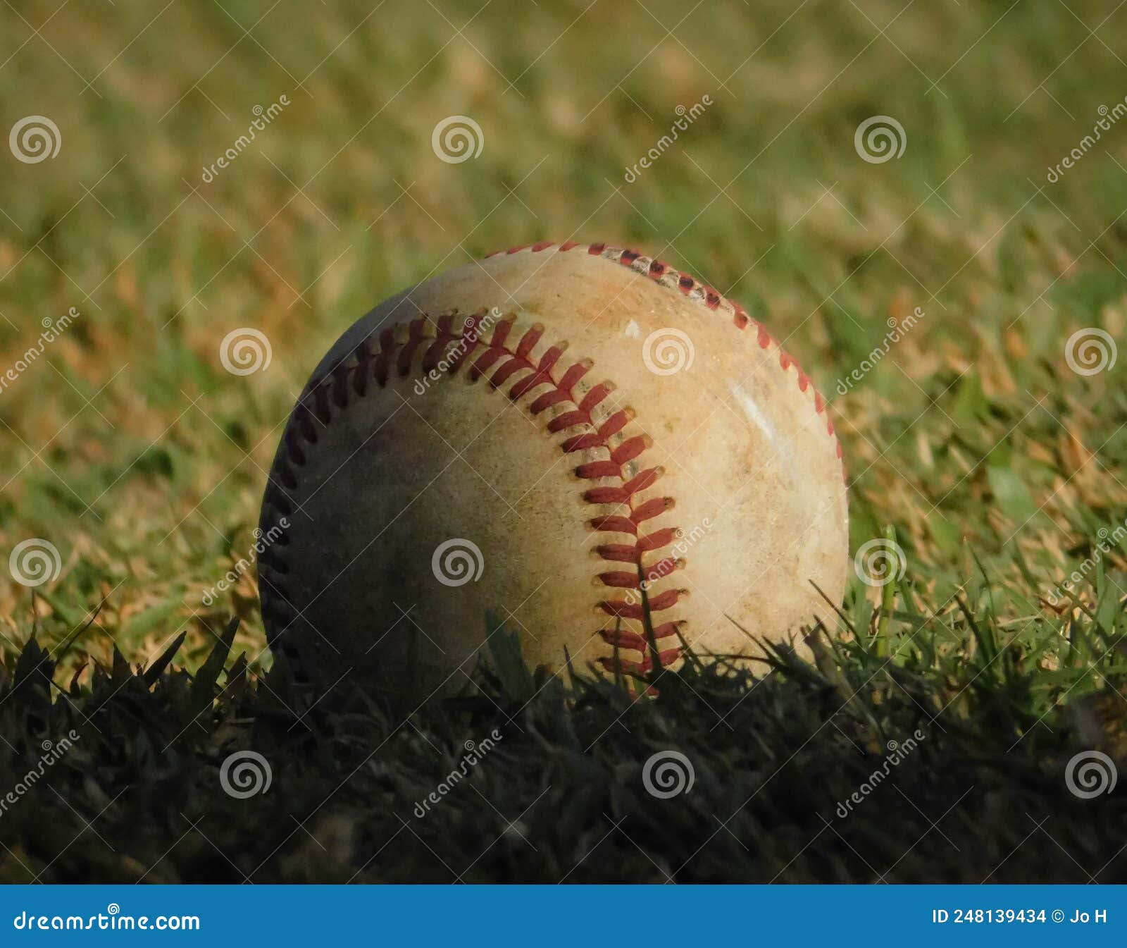 Baseball on the Field, Under the Stadium Lights Stock Photo Image of lights, white 248139434