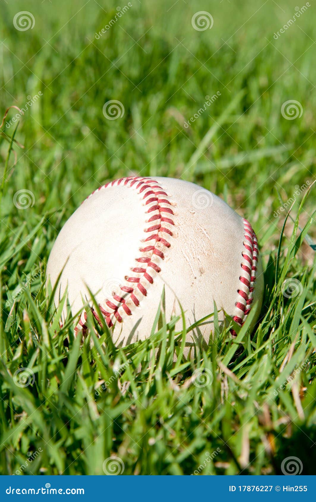 Baseball on the Yard stock image. Image of game, infield 17876227