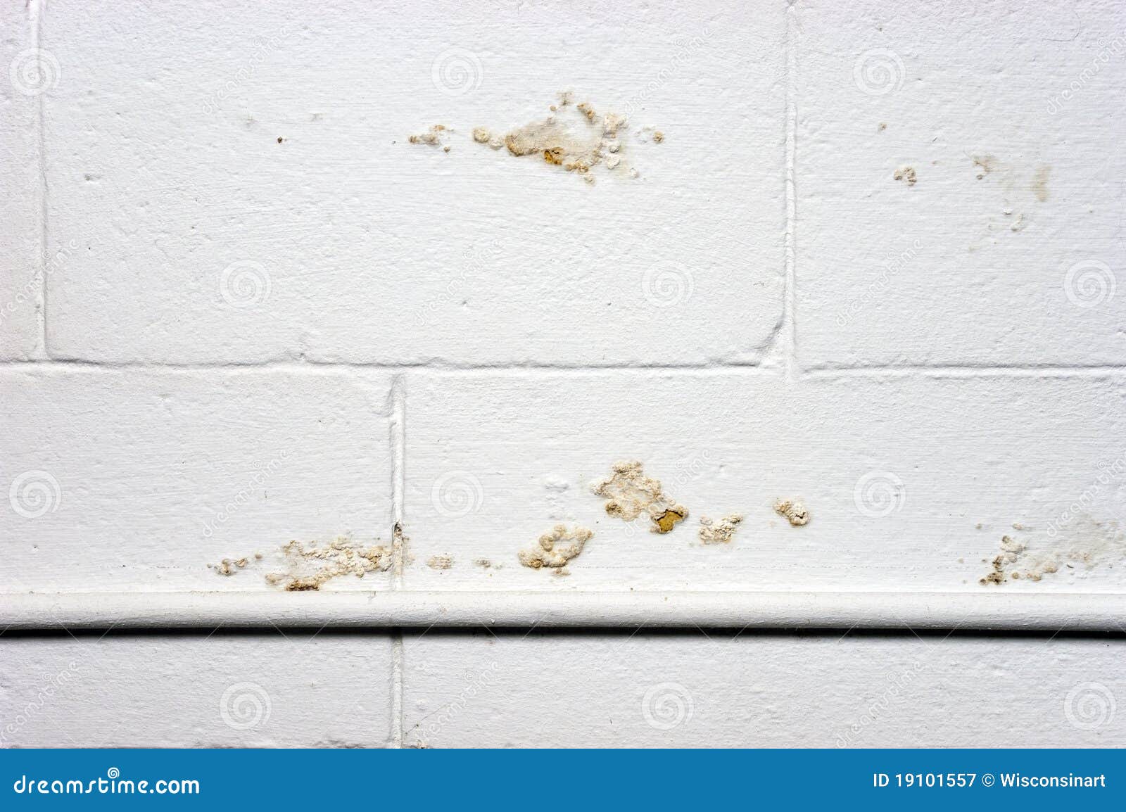 basement wall water moisture seepage damage leak