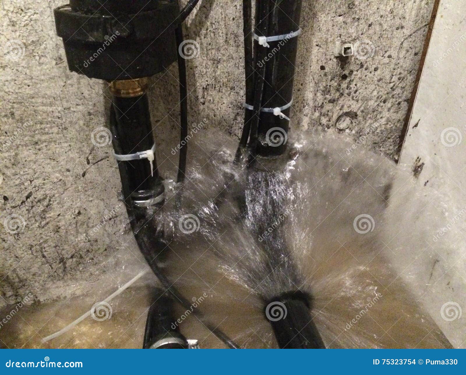 basement water damage-