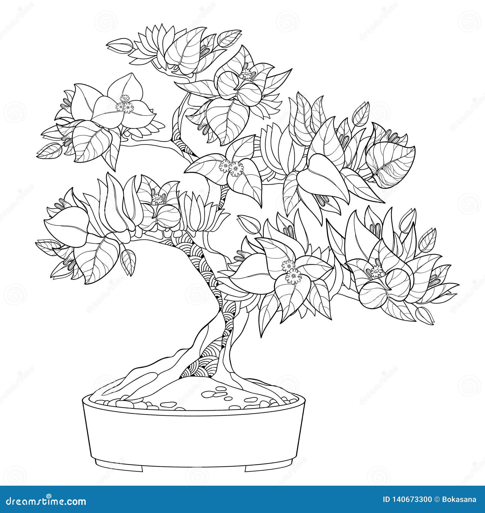 Vector Outline Bougainvillea or Buganvilla Bonsai Tree in Flowerpot