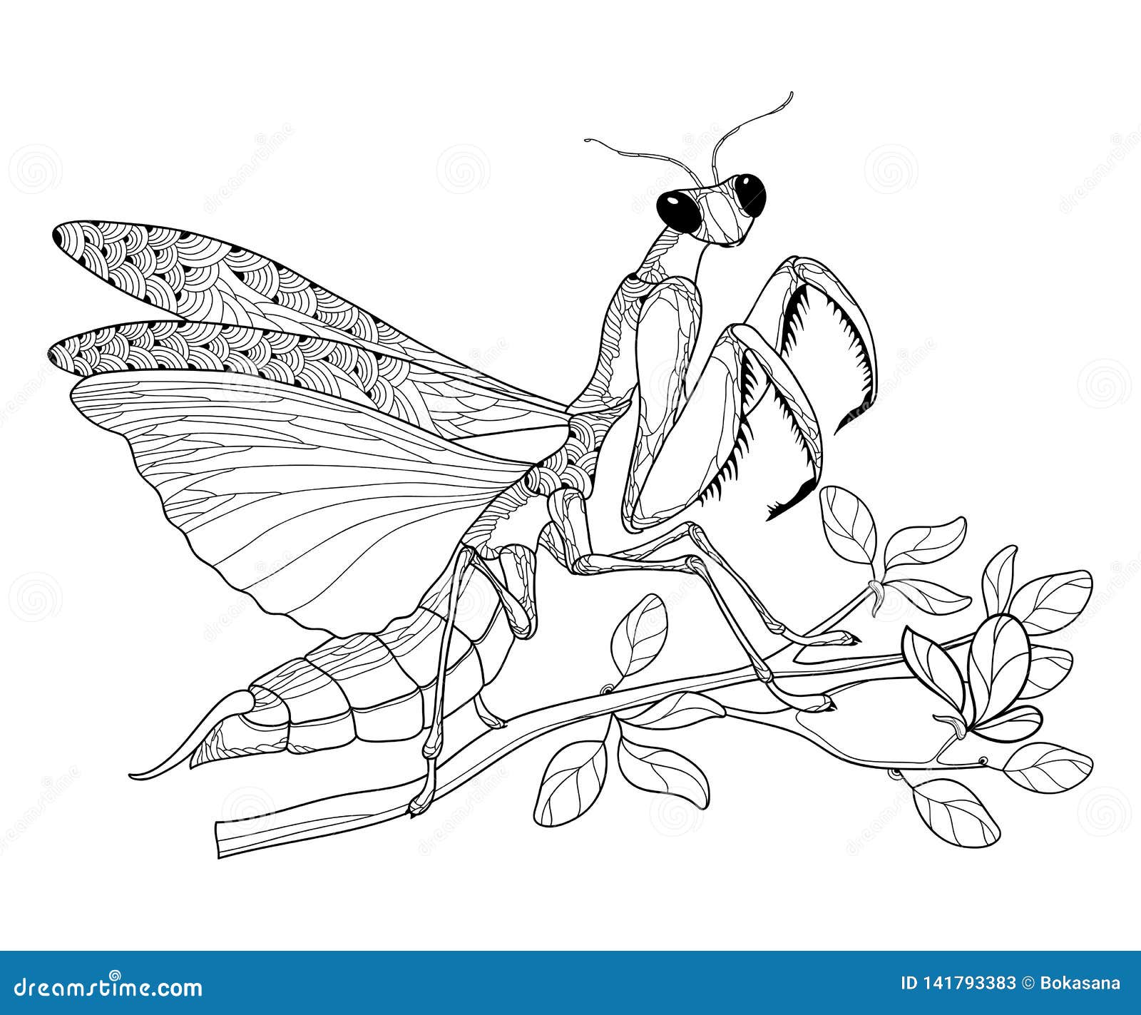  outline mantis religiosa or praying mantis on the branch in black  on the white background. contour predator.
