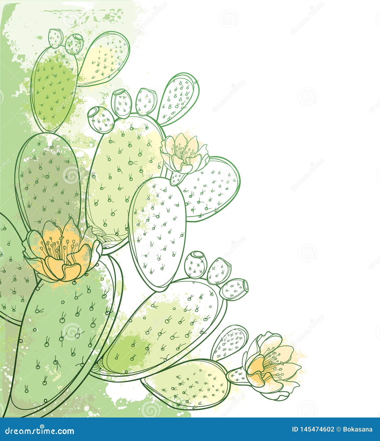  corner bunch of outline indian fig opuntia or prickly pear cactus, flower, fruit and spiny stem in pastel green.