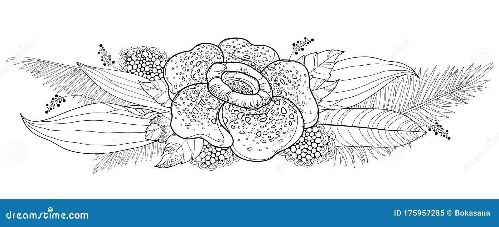 Vector Bouquet of Outline Tropical Rafflesia Arnoldii or Corpse Lily