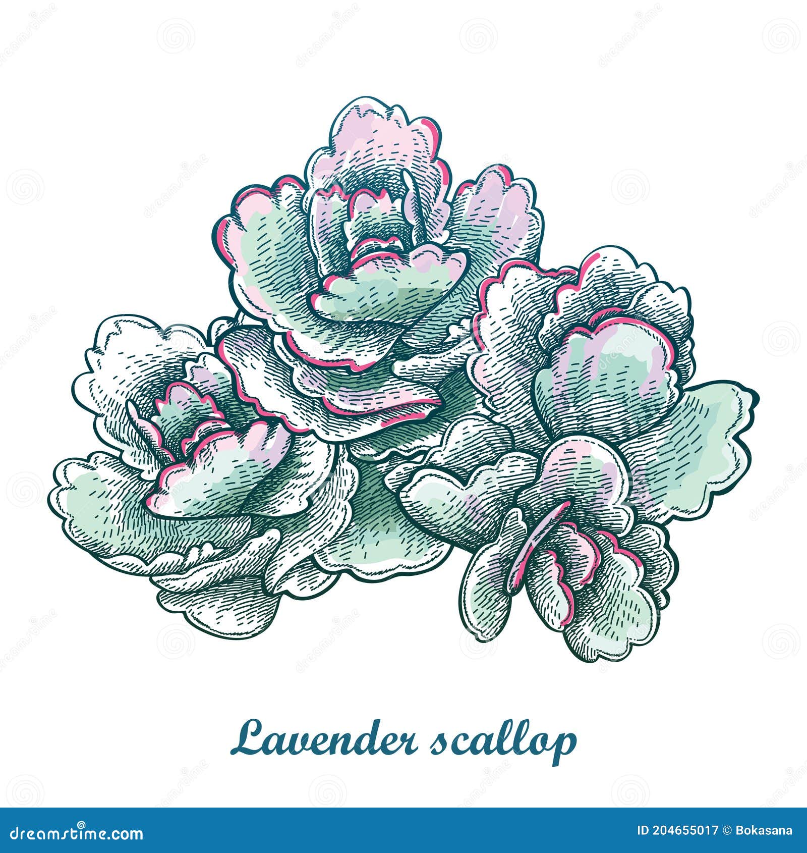 Lavender painted scallops