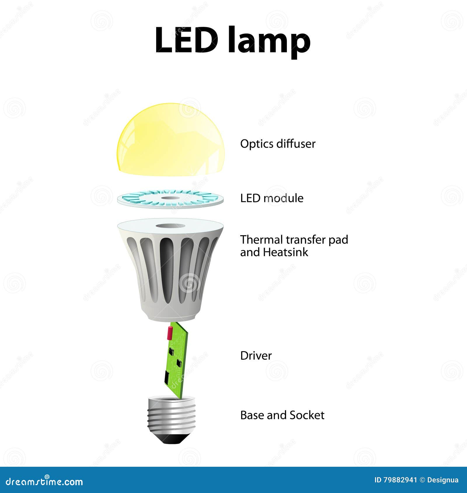 Basic Components of LED LightÂ Bulbs Stock Vector - Illustration of  diffuser, labeled: 79882941