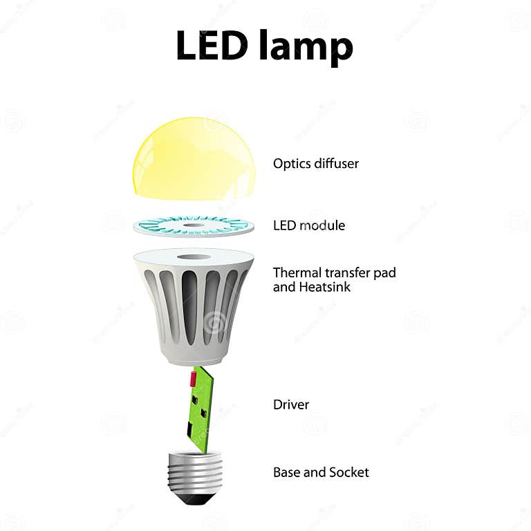 Basic Components of LED LightÂ Bulbs Stock Vector Illustration of