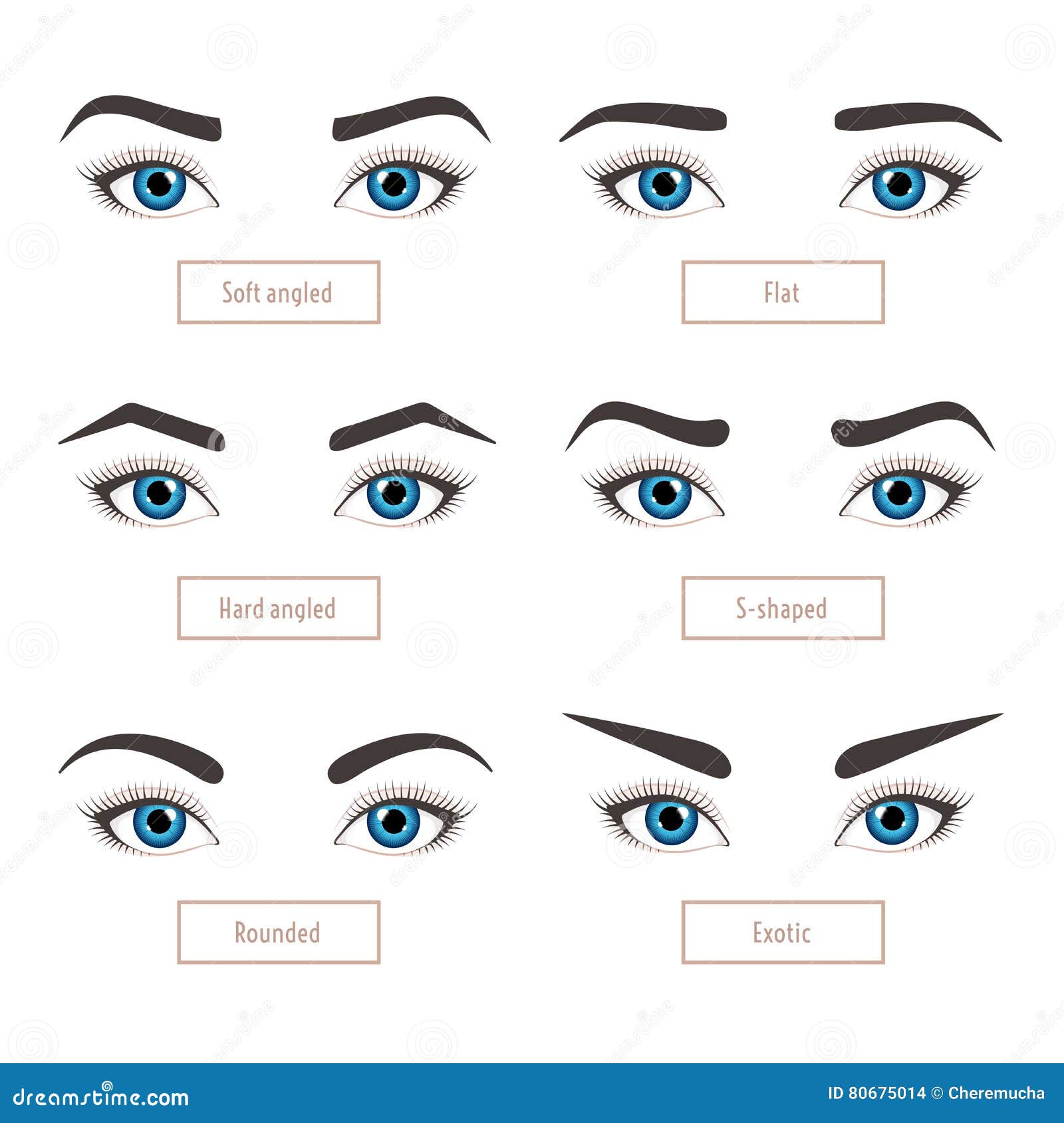 Eyebrow Shapes With Eyes Various Types Of Eyebrows Trimming Vector