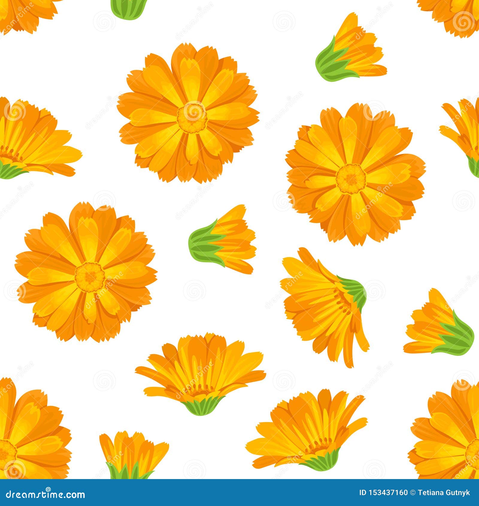 Calendula Seamless Pattern. Bright Orange Flowers in a Cartoon Flat