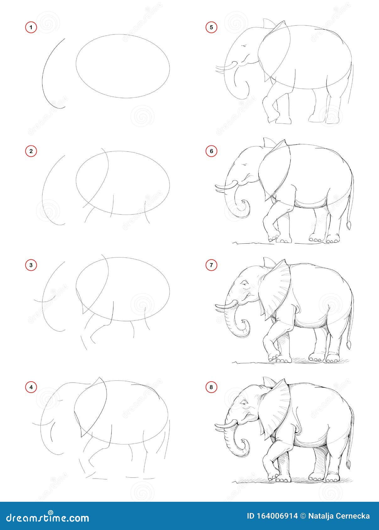 how to draw from nature step by step sketch of african elephant. creation pencil drawing. educational page for artists.