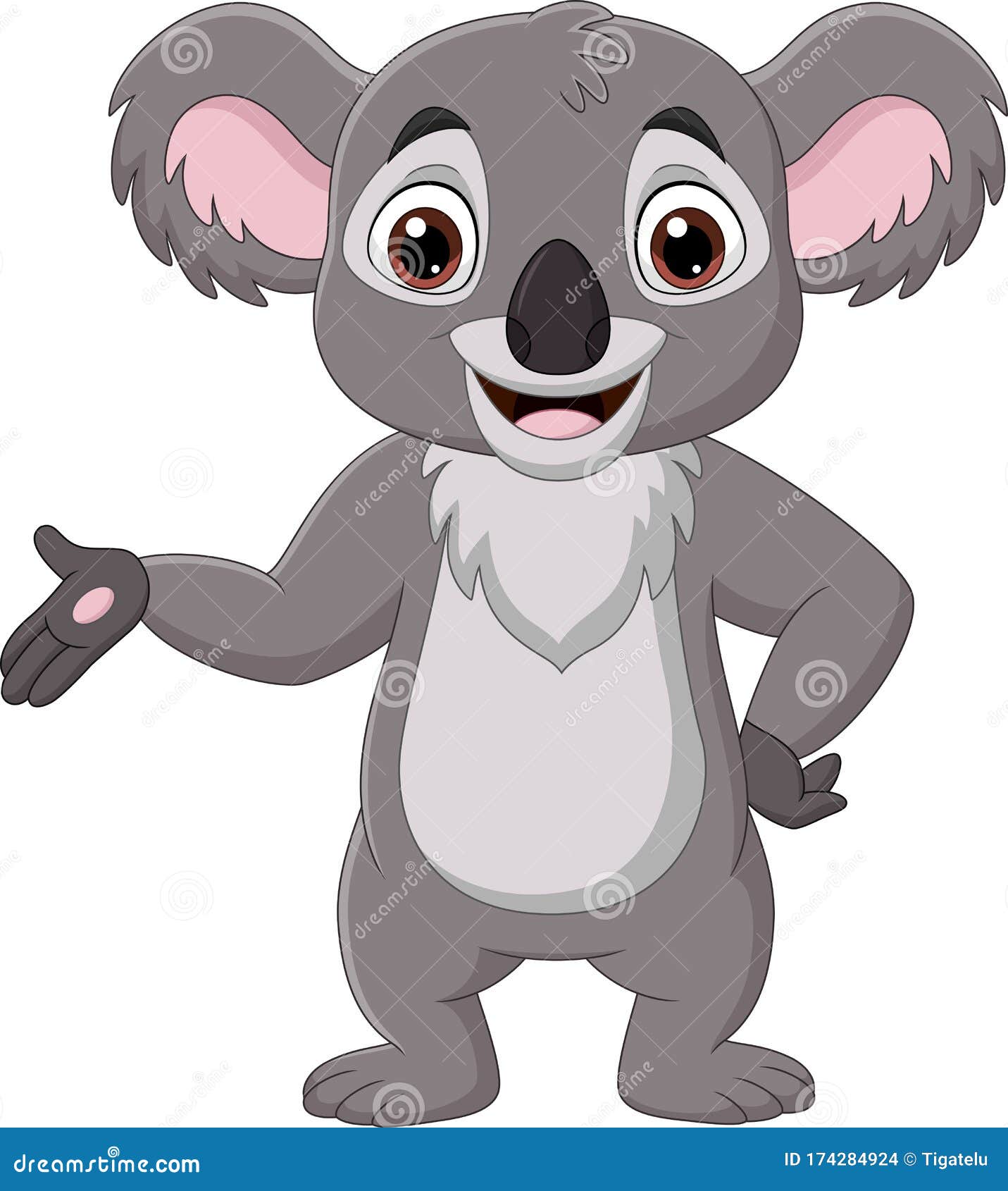 Cartoon Happy Koala Presenting on White Background Stock Vector