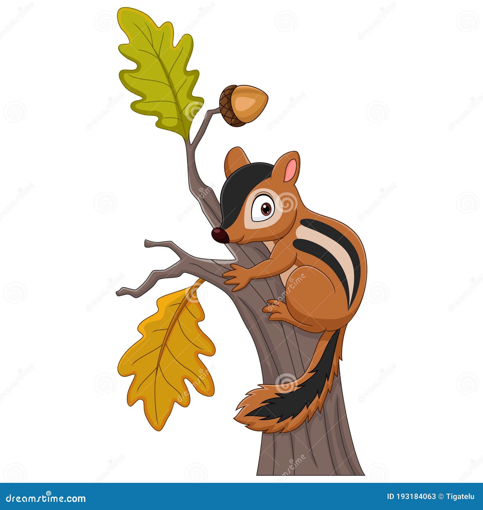 Squirrel In Tree Clip Art