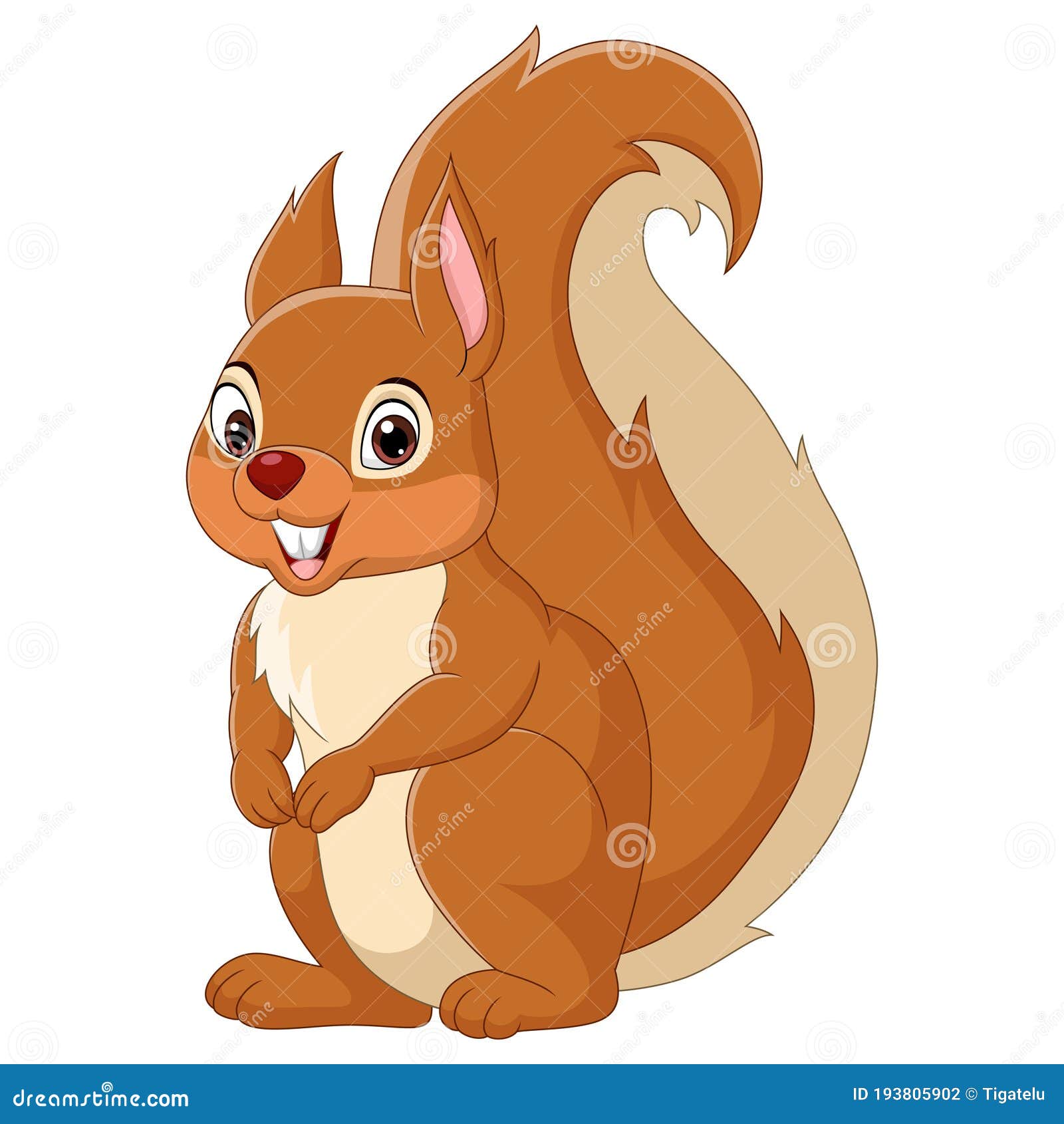 Cartoon Happy Squirrel Isolated on White Background Stock Illustration ...