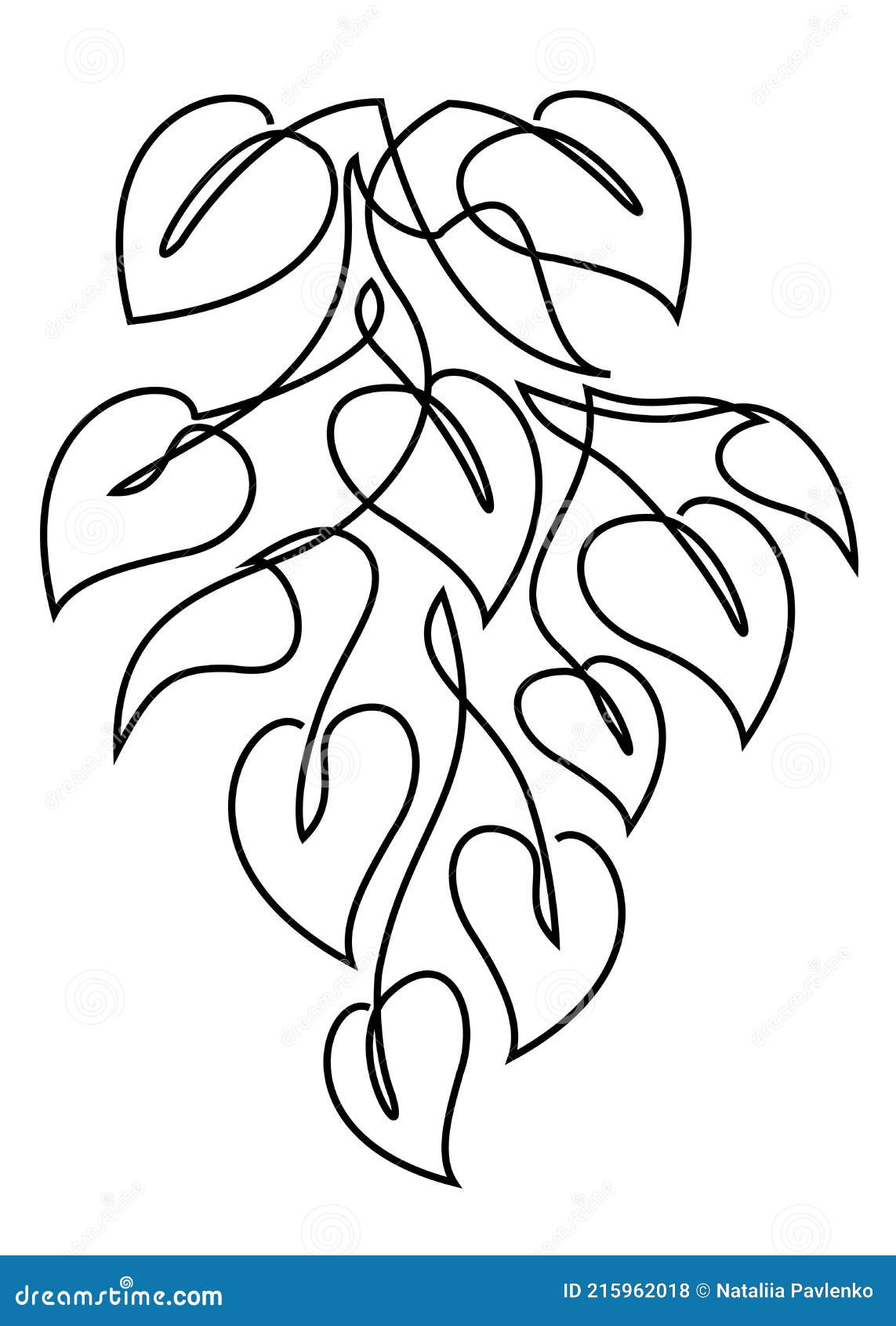 Scindapsus Flower Branch In A Modern Style In The Style Of One Line Continuous Line Drawing Home Decor Sketches Posters Wall A Stock Illustration Illustration Of Garden Black