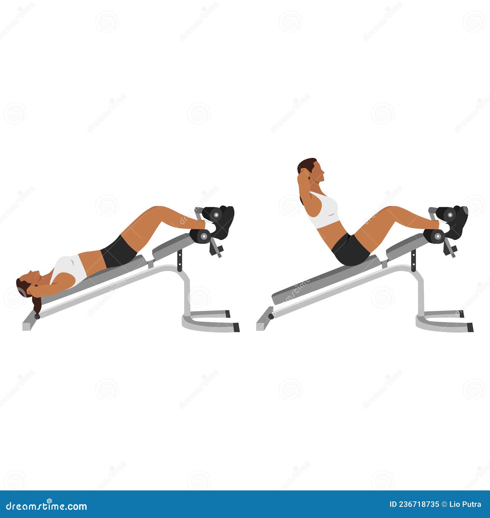 Woman Doing Decline Bench Sit Ups. Crunches Stock Vector Illustration of exercise, infographic