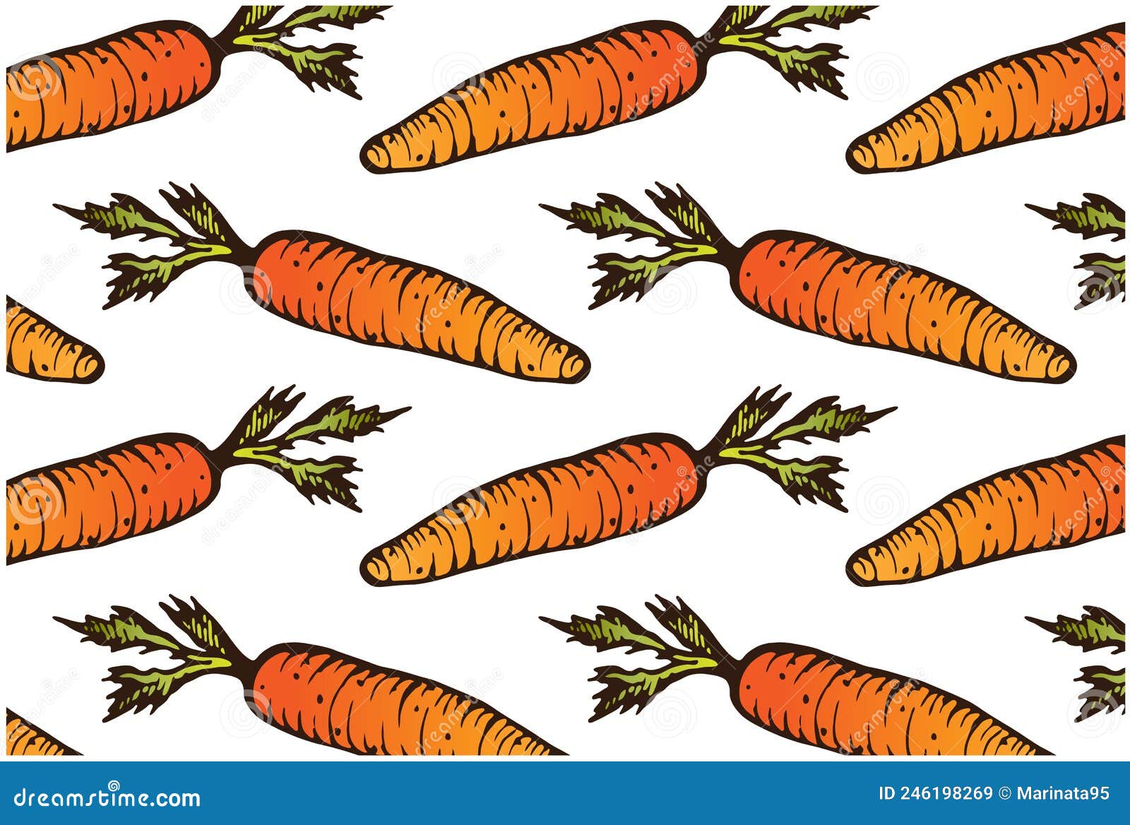 Drawing Carrot PNG Picture, Vector Drawing Carrot, Watercolor Vegetables,  Vector Vegetables, Vegetables PNG Image For Free Download