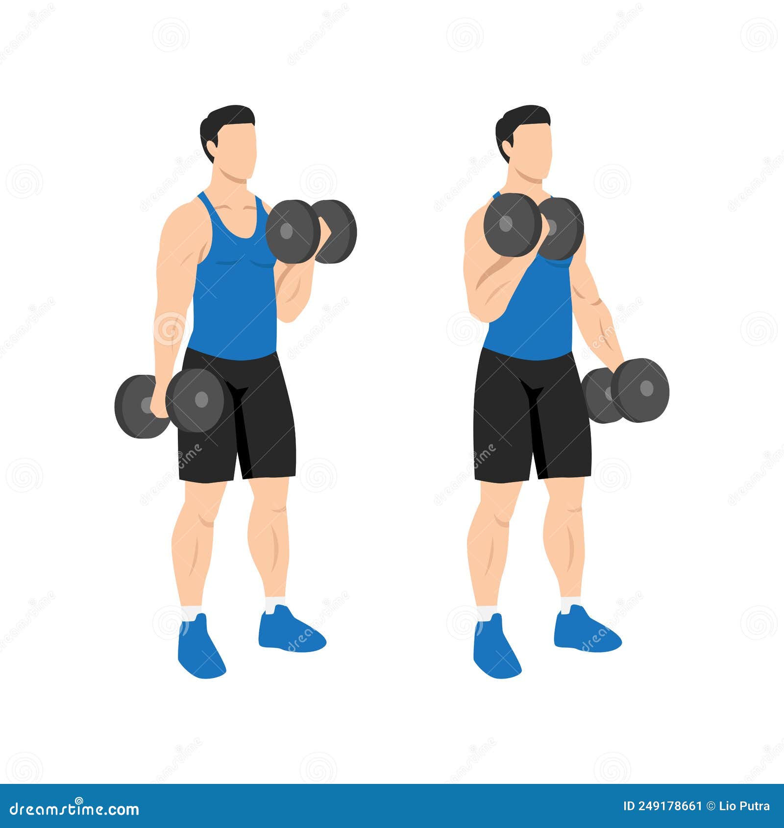 man doing alternating dumbbell curl. flat  