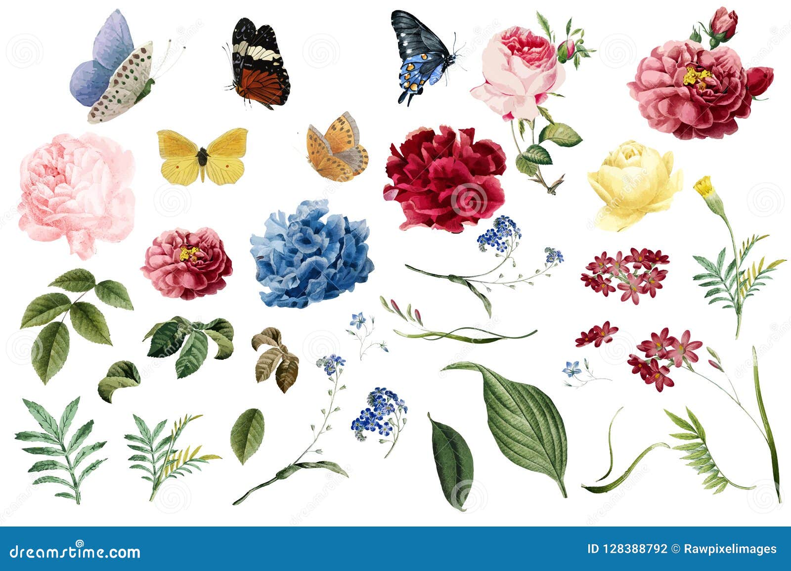 various romantic flower and leaf s