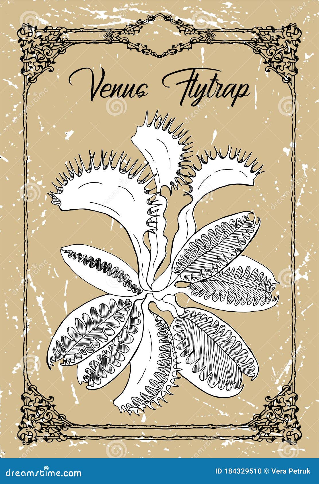 Vector Black and White Drawing of Venus Flytrap Flower on Texture