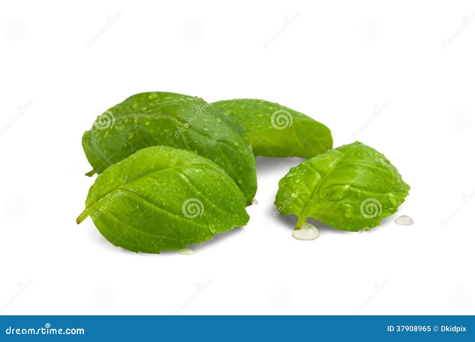 Basil stock image. Image of flavoring, italian, herbs 37908965