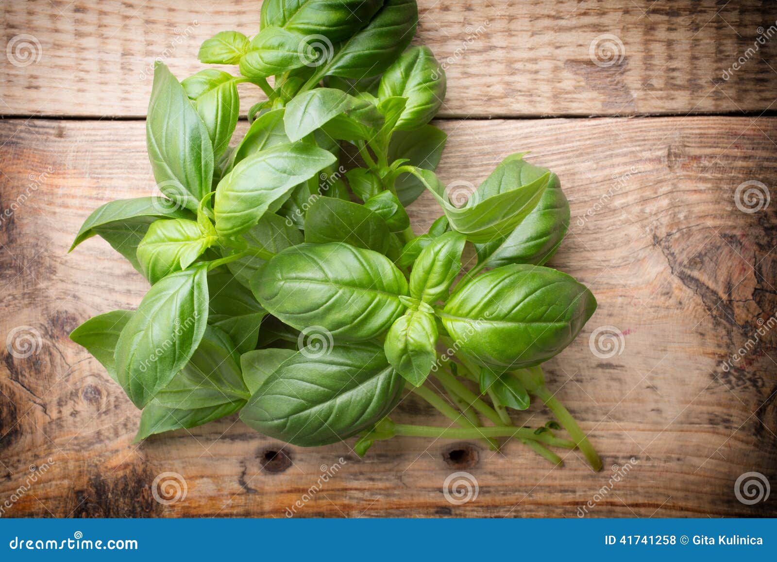 Basil. stock photo. Image of nature, bundle, herbal, bunch - 41741258