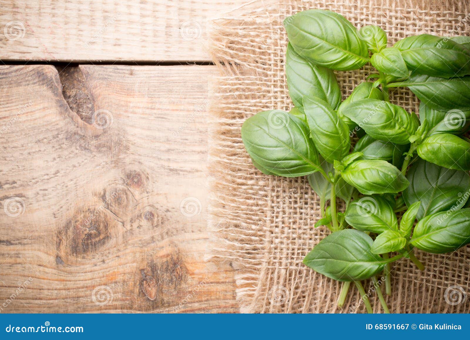 Basil. stock image. Image of fresh, plant, organic, twig - 68591667
