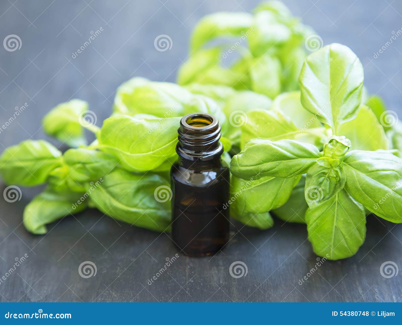 Basil Essential Oil in a Bottle with Basil Herb Leaves Stock Photo