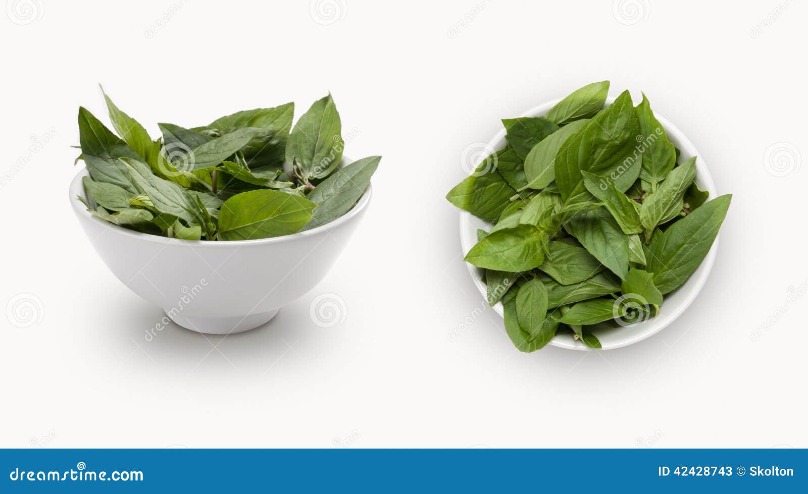 Basil leaves in a bowl stock image. Image of alimentary 42428743