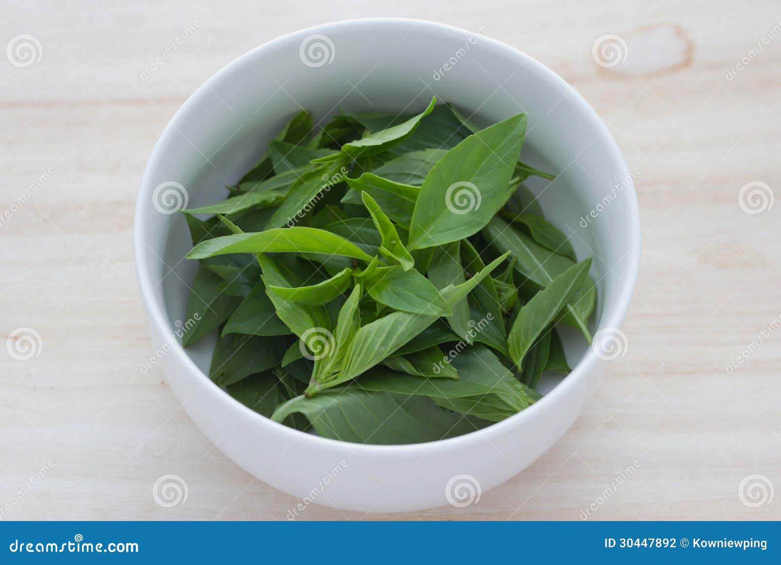 Basil leaves in a cup stock photo. Image of healthy, leaf 30447892