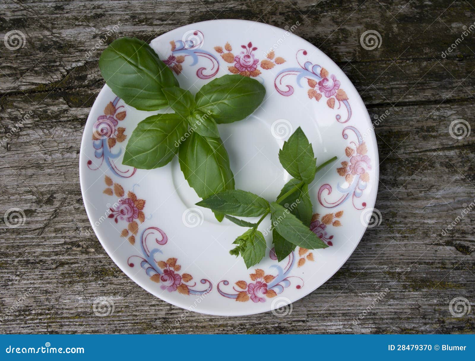 Basil and mint stock photo. Image of natural, mint, fresh 28479370