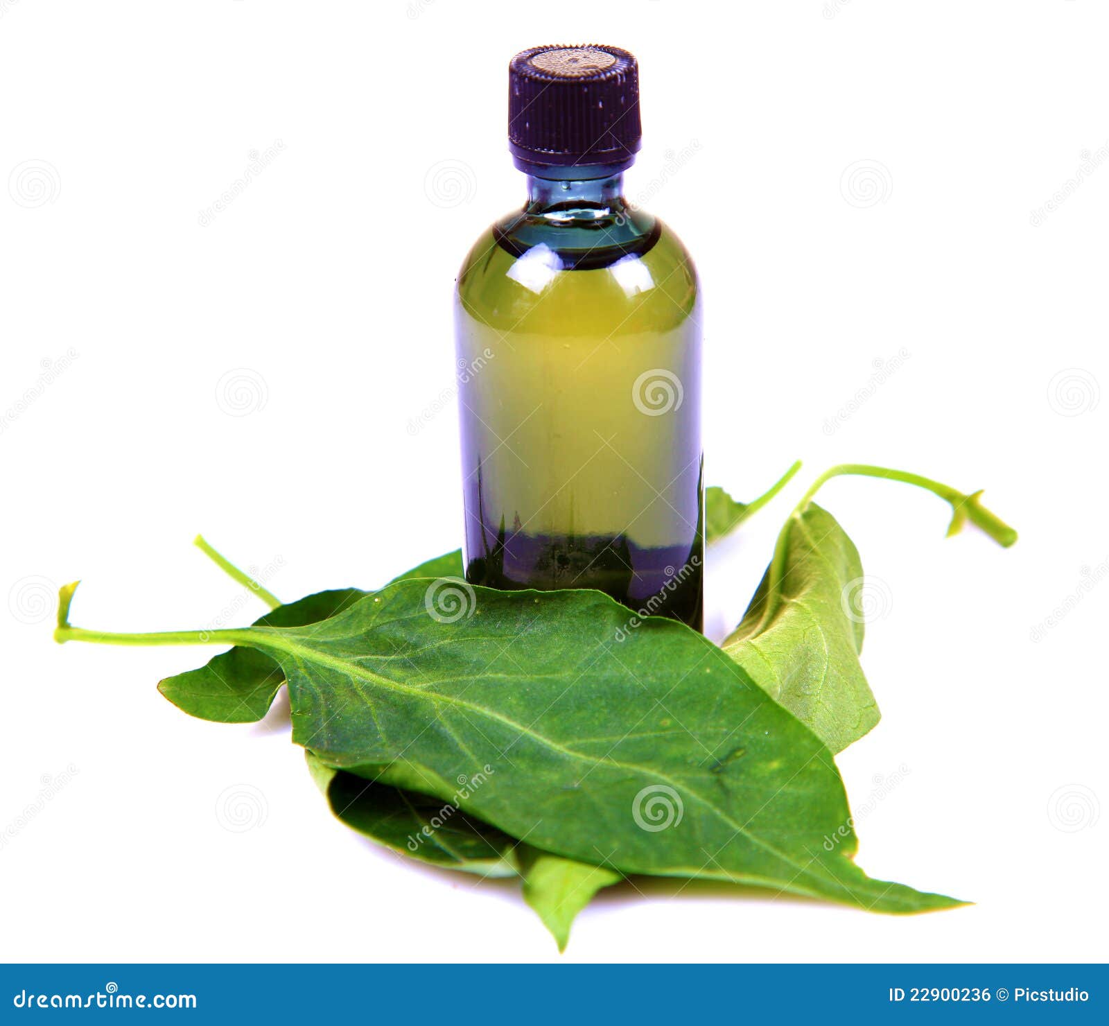 Basil oil stock photo. Image of natural, herbal, background 22900236