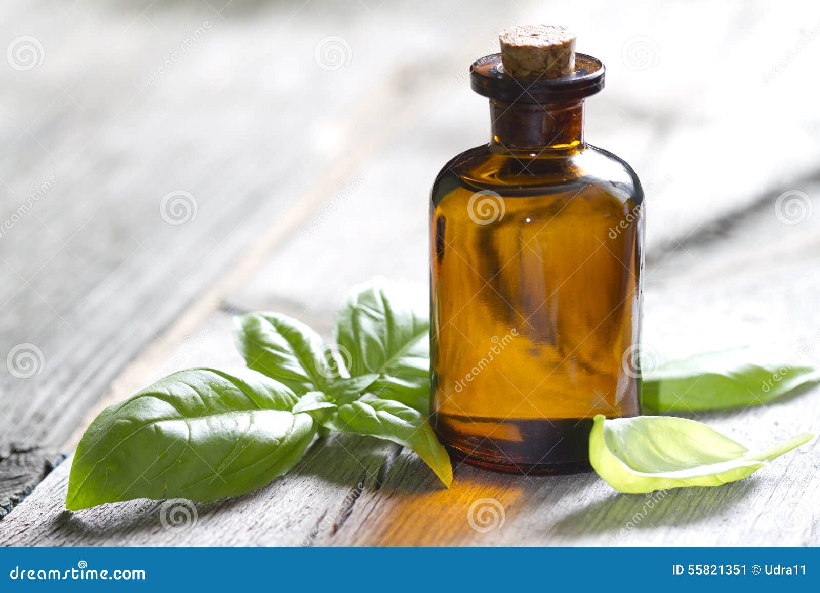 Basil oil and fresh herbs stock image. Image of concept 55821351