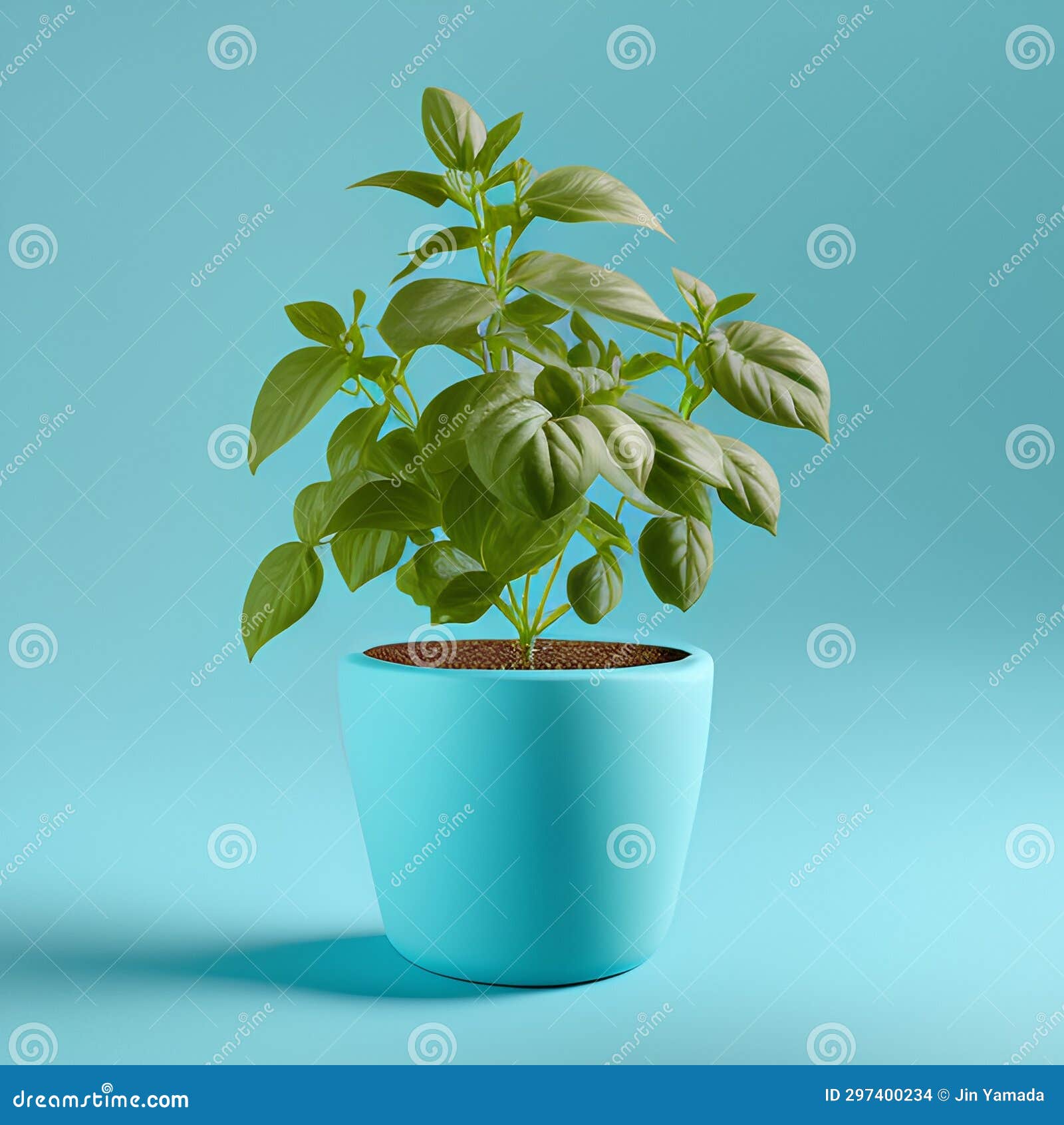 Basil Plant in a Pot on Blue Background. Minimal Concept Stock