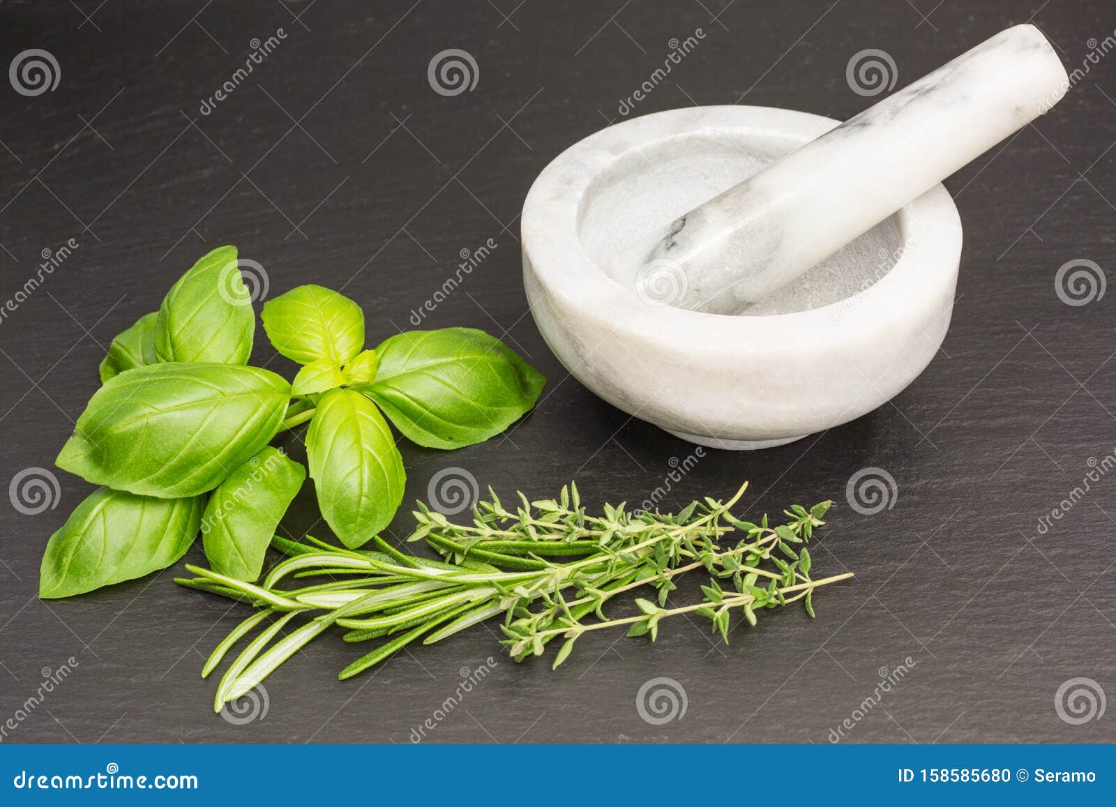 Herbs with Mortar and Pestle Stock Photo Image of utensil, marble