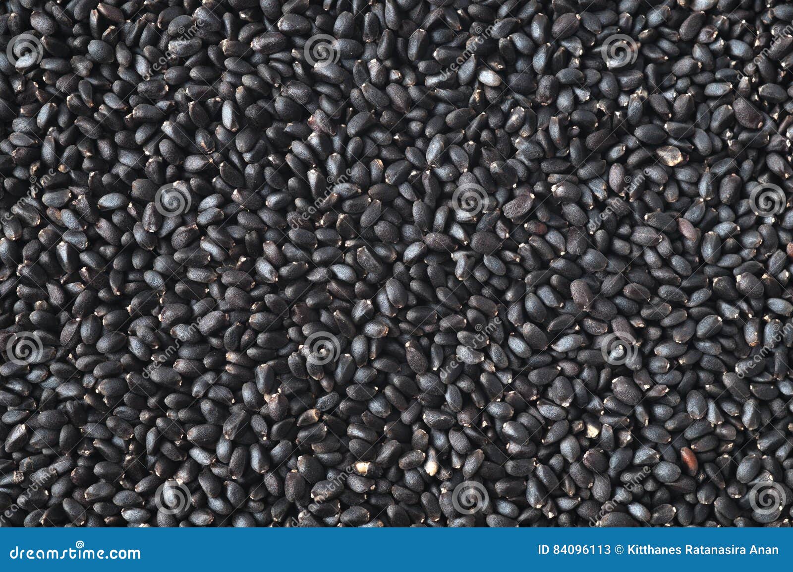 Basil Seeds Close Up Shot on White Background. Stock Image Image of