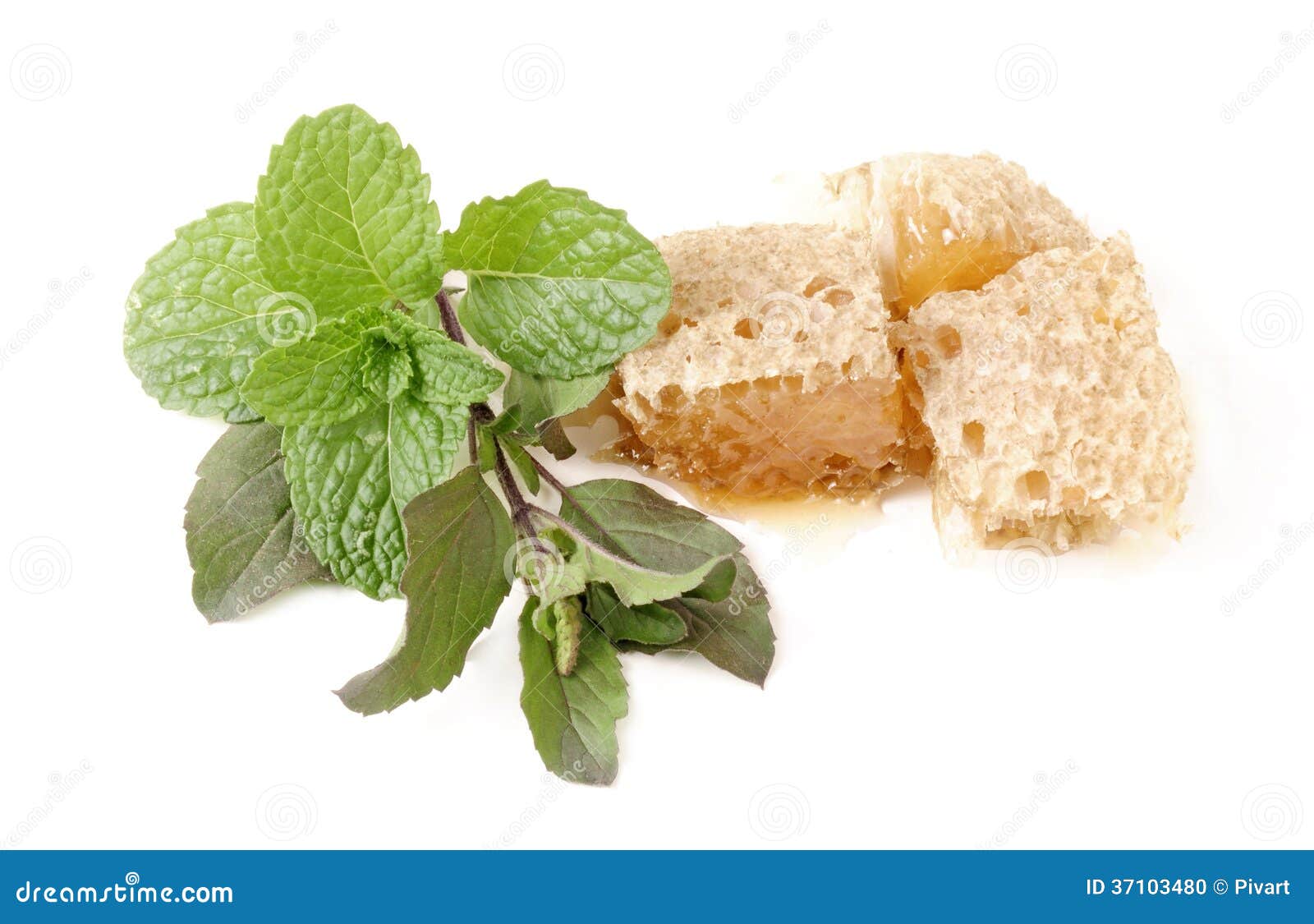 Basil (tulsi), Mint and Honey in Group on Isolated White Stock Photo