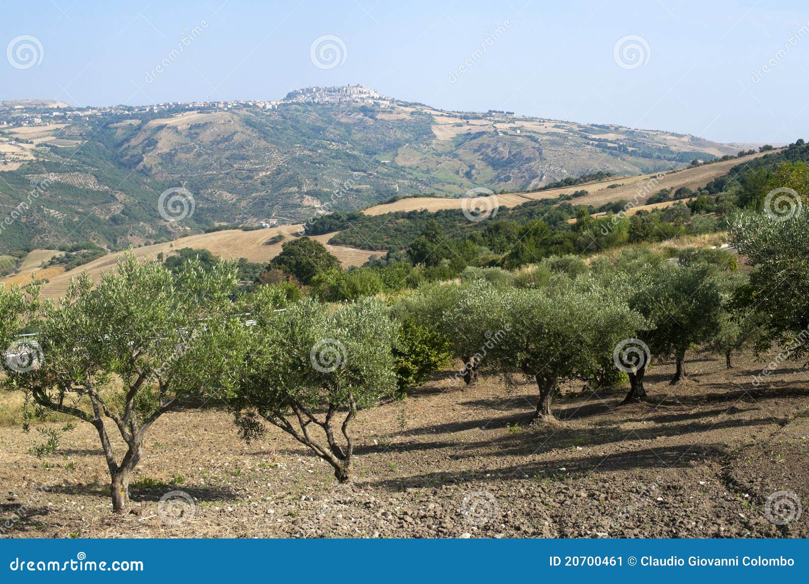 basilicata (potenza) - acerenza