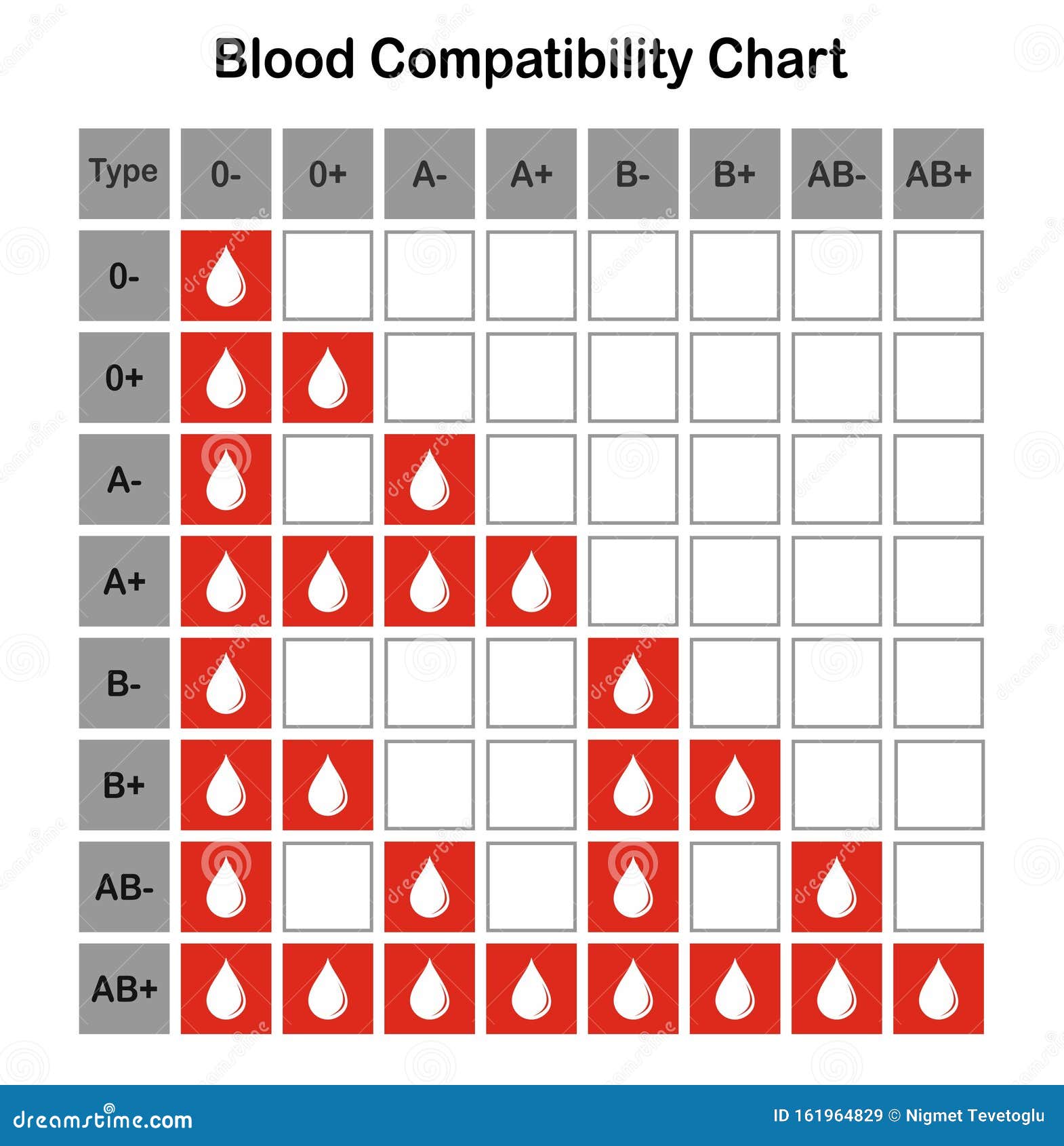 Blood Type Chart Donor Blood Vector Illustration Stock Vector