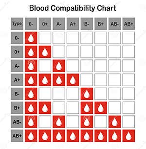 Blood Type Chart Donor Blood Vector Illustration CartoonDealer 161964829