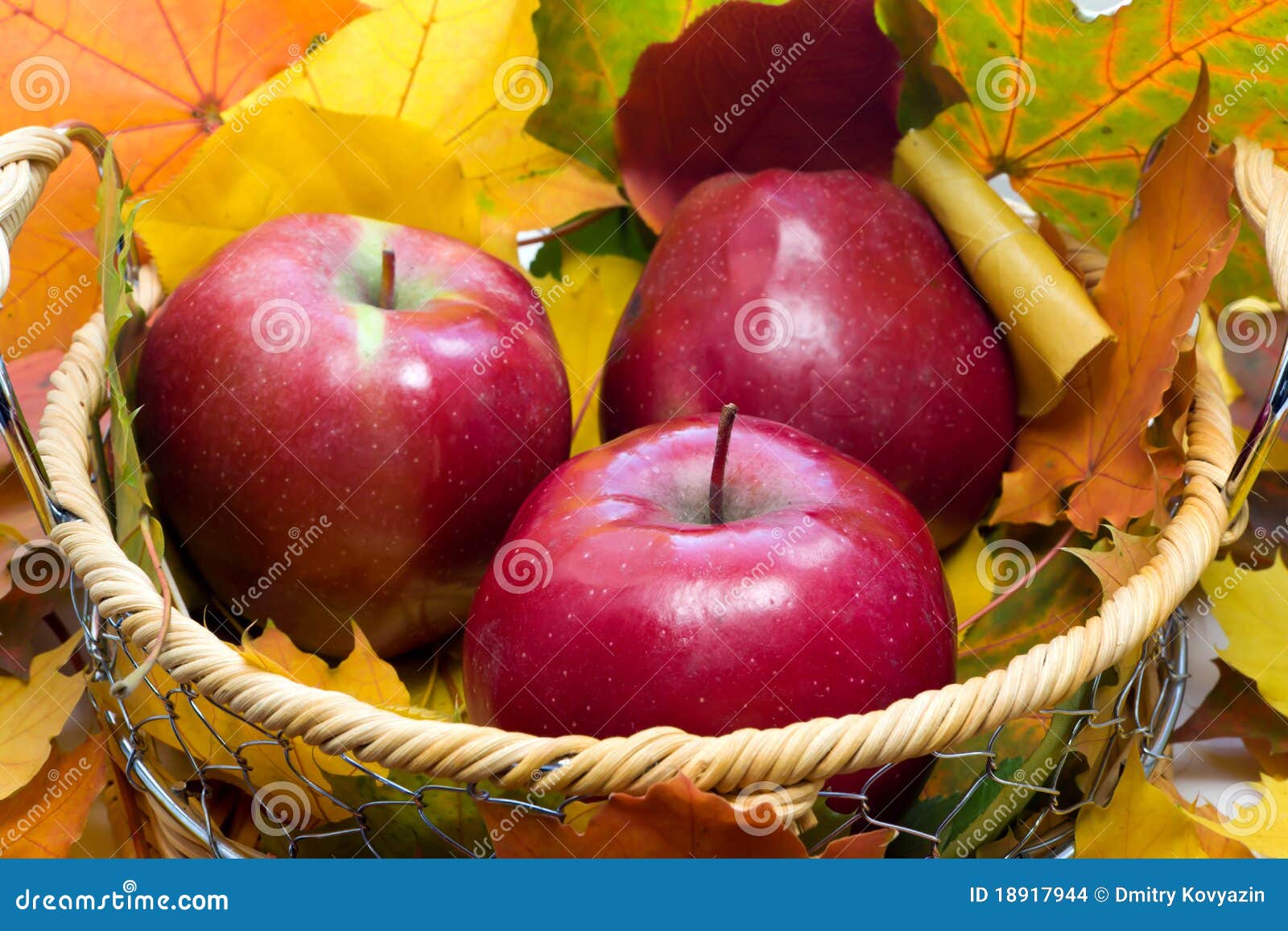 Basket with apples stock photo. Image of dessert, food 18917944