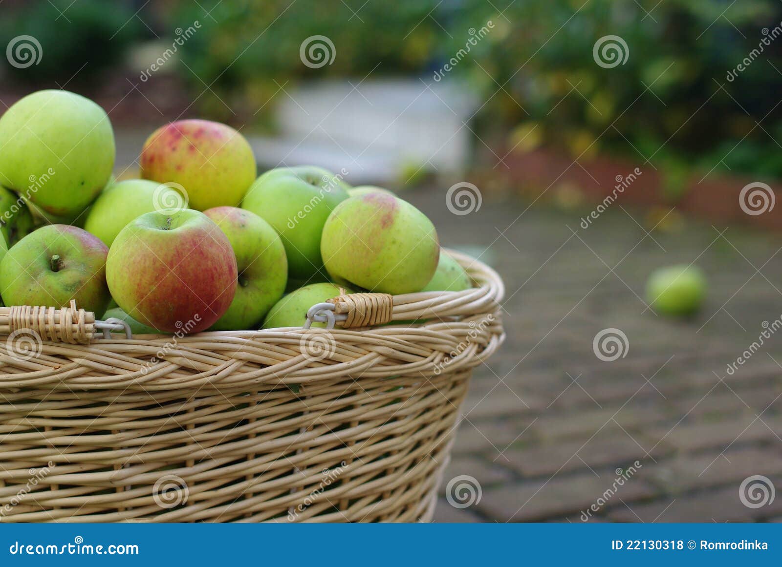 Basket with apples stock photo. Image of food, band, juicy 22130318