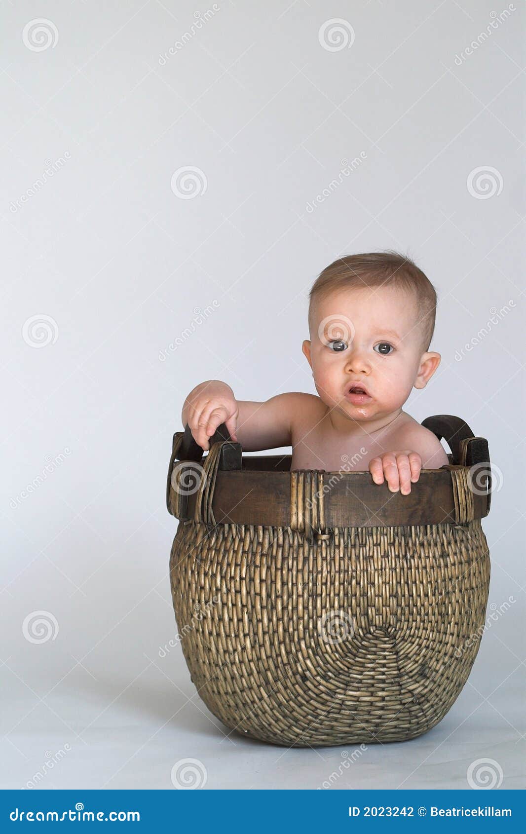Basket Baby stock photo. Image of sitting, white, basket 2023242
