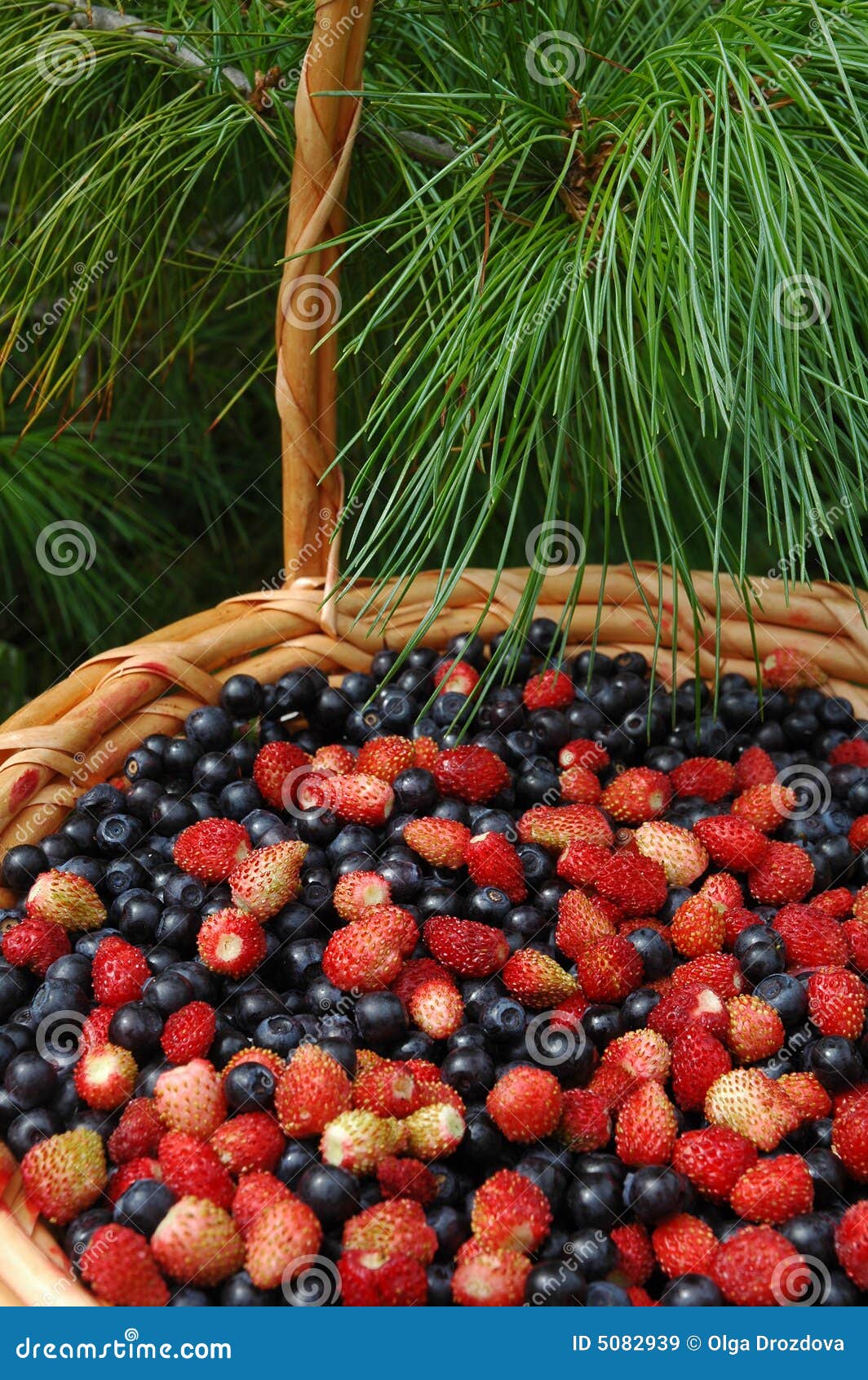 Basket of Berries stock image. Image of wood, full, strawberry 5082939