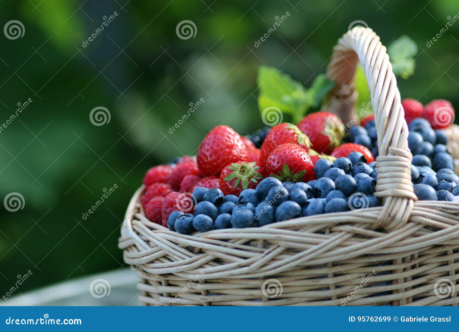 Basket with Berries Standing Outdoors Stock Image Image of berry
