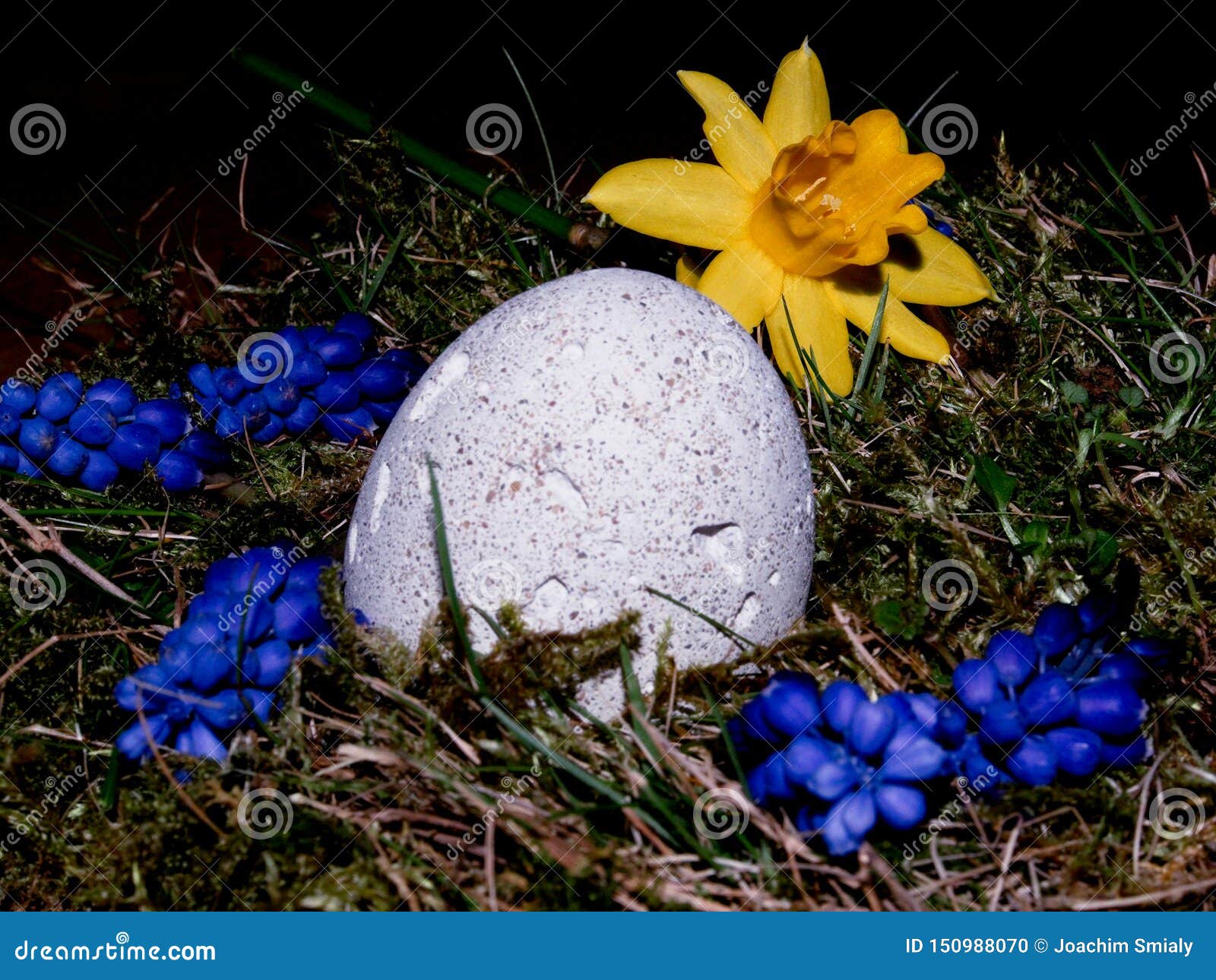 Basket with Easter Eggs on White Background Stock Photo Image of